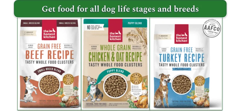 An image showing three different food recipes for puppies