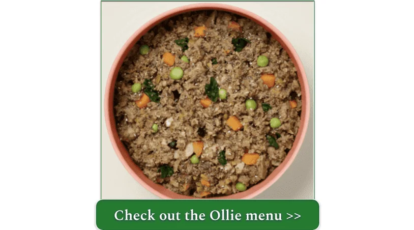 Ollie's Fresh Beef Recipe