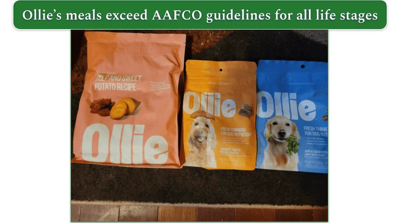 3 Ollie products as tested by our reviewer’s dog