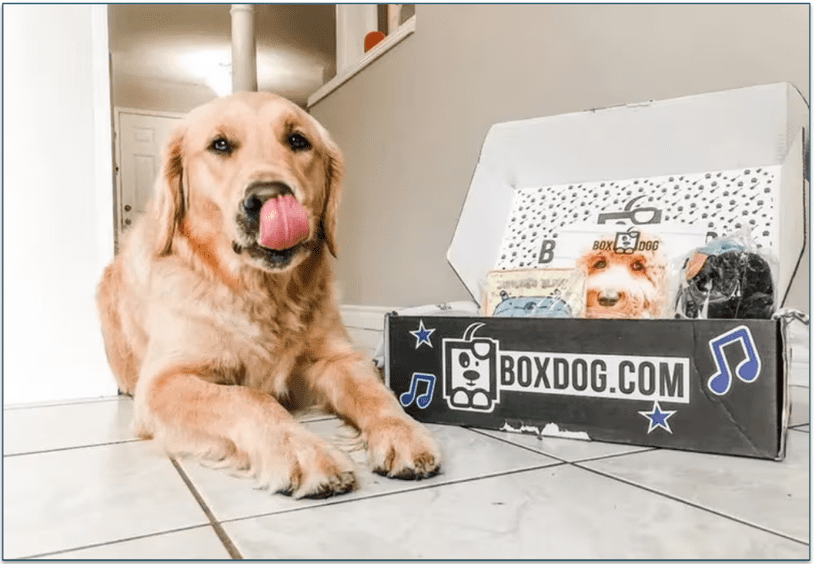 Dog lying next to a BoxDog delivery box