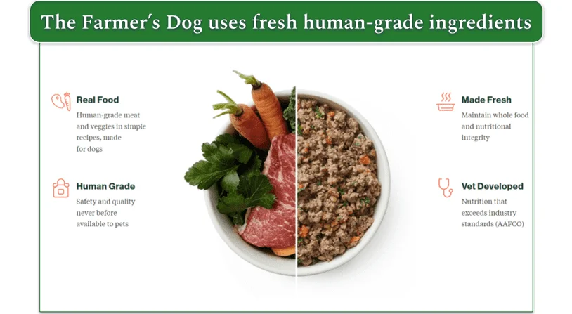 Image showcasing TFD's ingredient quality