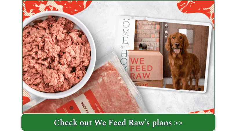 Bowl of We Feed Raw's beef patty in a bowl and a dog next to a delivery box