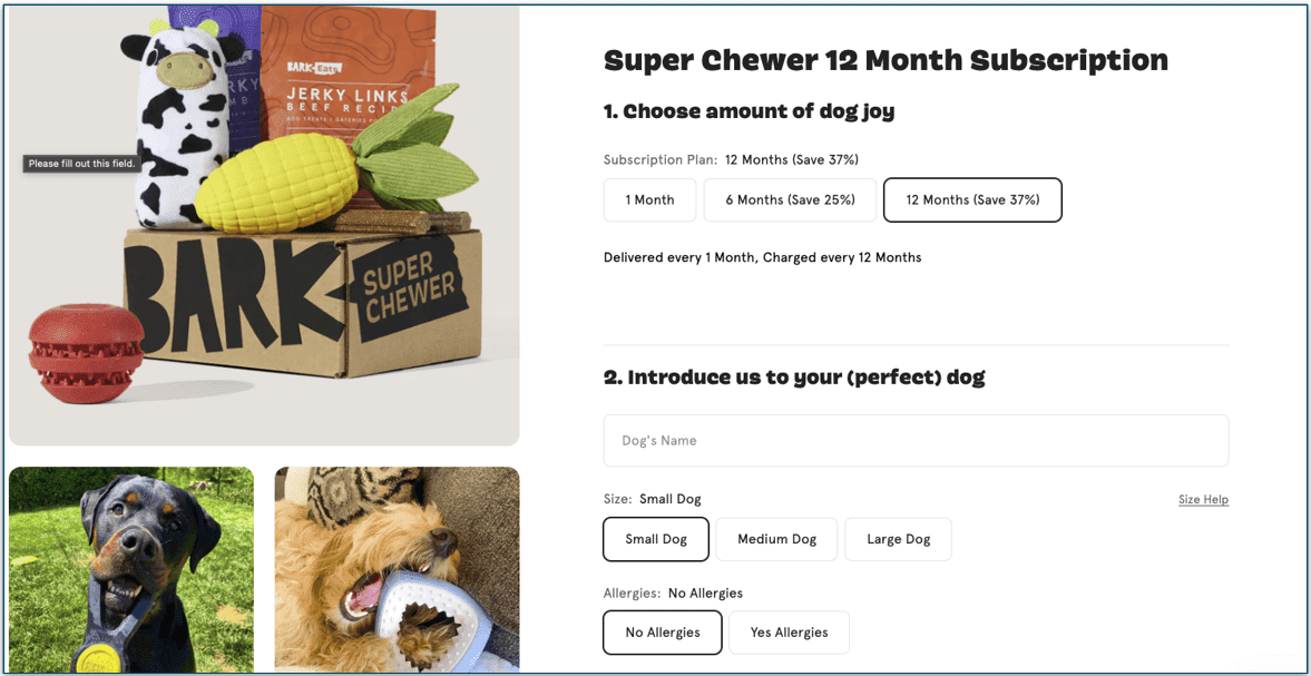 Screenshot of Bark Super Chewer's 12-Month Subscription Plan page