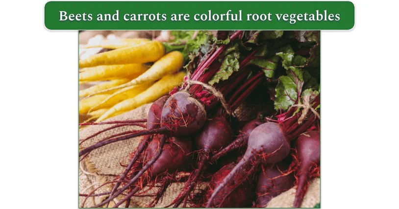 Fresh beets and yellow carrots