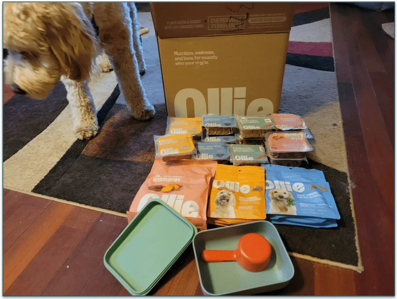 A selection of meals and treats from Ollie