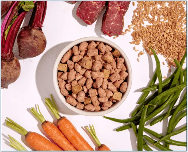 Spot & Tango's Beef + Barley Unkibble surrounded by fresh ingredients