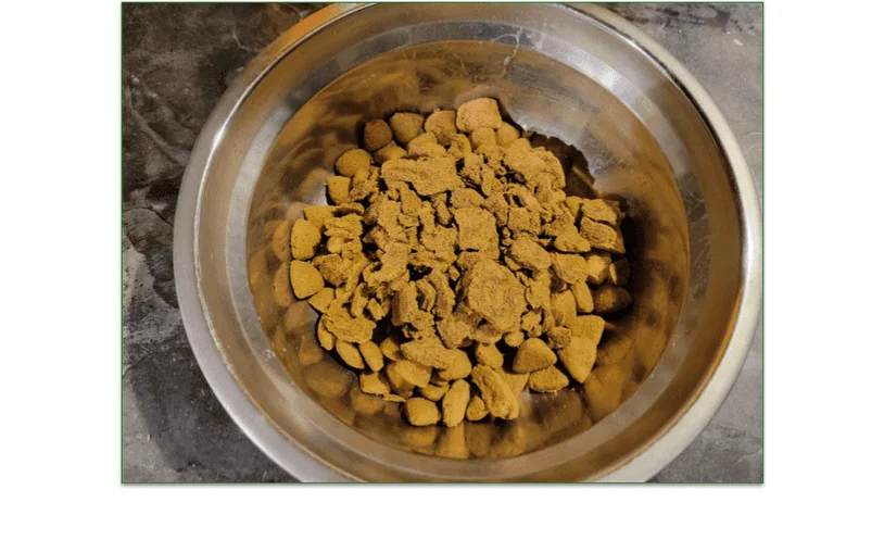 Bowl of kibble and Sundays Turkey as a topper