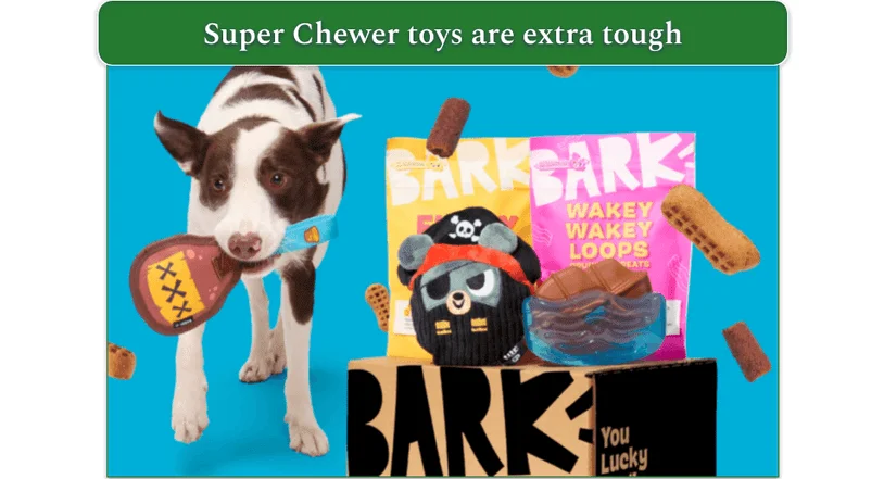 A dog holding a chew toy next to a box with 2 treat bags
