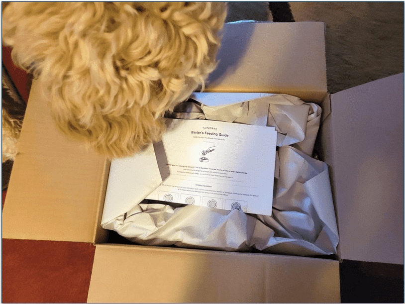 Baxter looking inside the open Sundays' delivery box