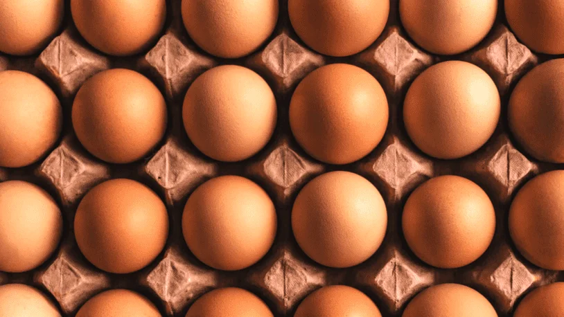 Brown eggs neatly arranged in a carton
